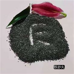 铸造 氧化剂用还原铁粉 润泽金污水处理磁粉 生铁粉 铁砂丸