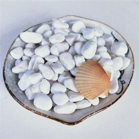 河北白色鹅卵石 诚诺5-8公分白玉石 机制白色鹅卵石 彩色雨花石