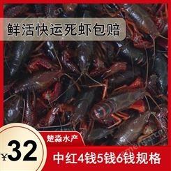 潜江小龙虾鲜活中红4钱5钱6钱规格 8月15-8月20售价32元每斤30斤起售包运费