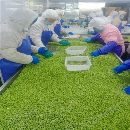 批量供应新鲜冷冻青豌豆粒 速冻食品现货直发绿拓食品