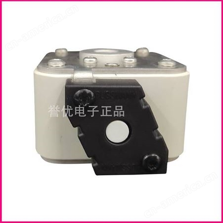 170M5465 170M5466进口巴斯曼熔断器保险熔断体全新-江苏誉优电子代理