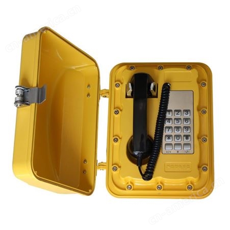 销售joiwo玖沃防水扩音电话主机有主机系统 JWAT302