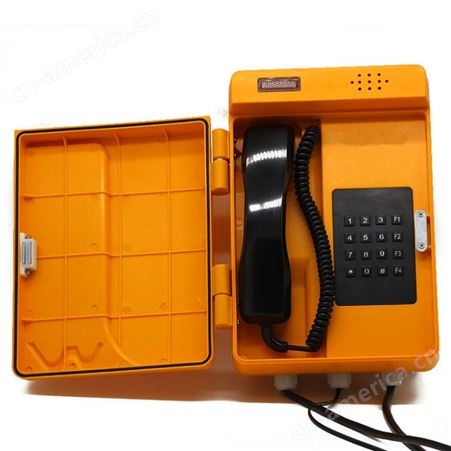 玖沃joiwoIP防水电话机公共场所电话机带扩音JWAT909