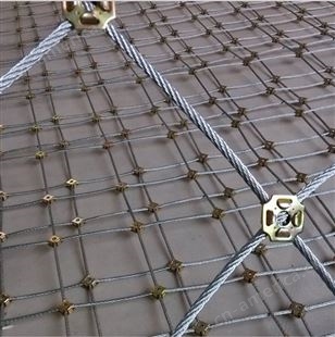现货供应 边坡防护网 山体滑坡主动边坡防护网 环形网 多种型号