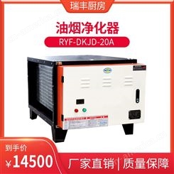 厨房除油烟机 RYF-DKJD-20A 静电油烟净化器 低空排放净化器