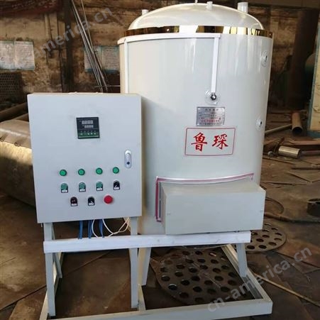 立式多燃料热水锅炉 车间浴室供暖蒸汽锅炉 燃气燃油蒸汽发生器