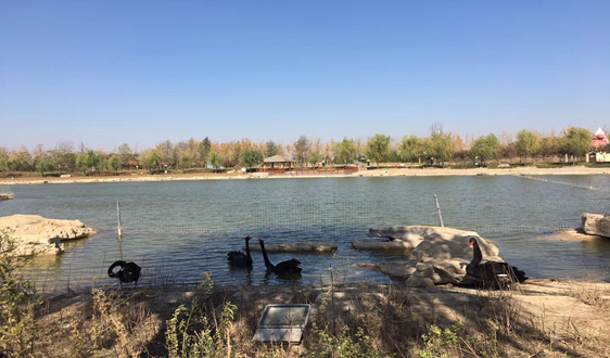 新疆：已完成83个工业集聚区污水集中处理设施