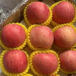 楚雄彝族自治州专业快速 苹果 红富士苹果 新鲜水果 规格